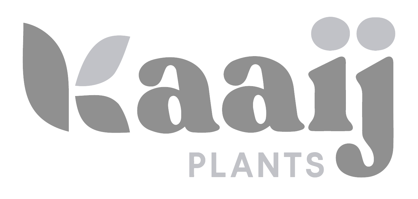 Kaaij plants